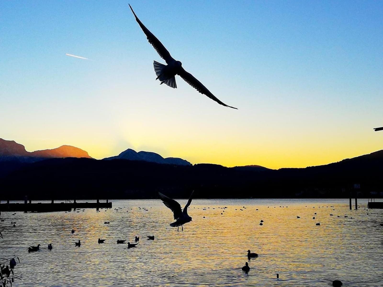 Seepanorama An Der Esplanade 1 Gmunden
