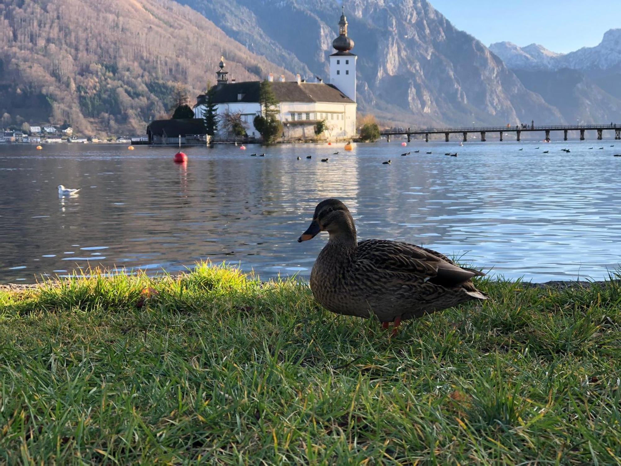 Seepanorama An Der Esplanade 1 *